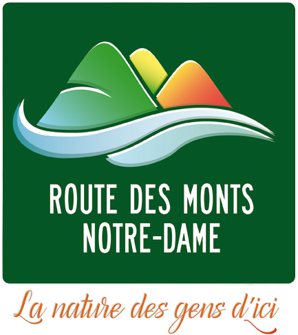 Logo route